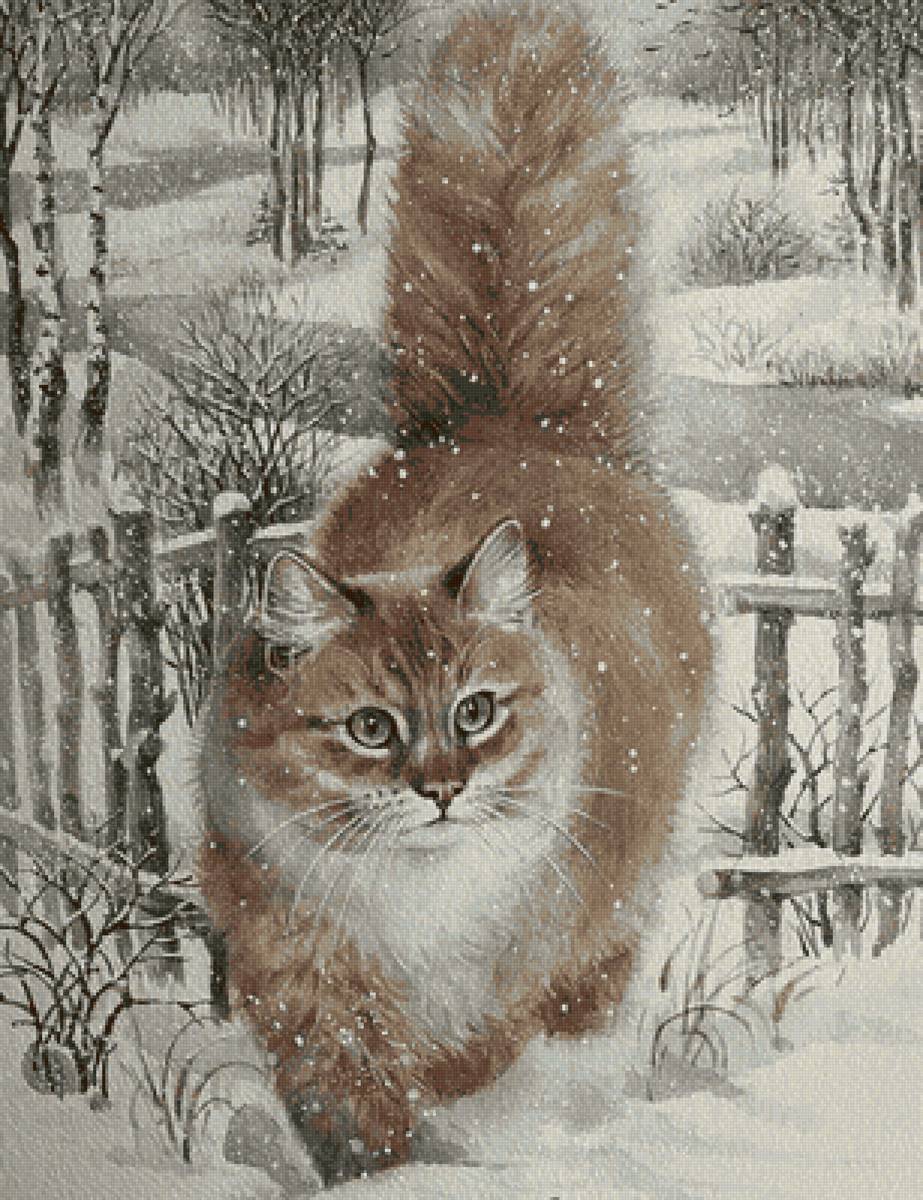 Кот - кот - предпросмотр