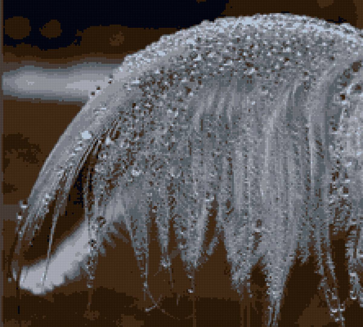 Гусинре перо - гусь, перо - предпросмотр