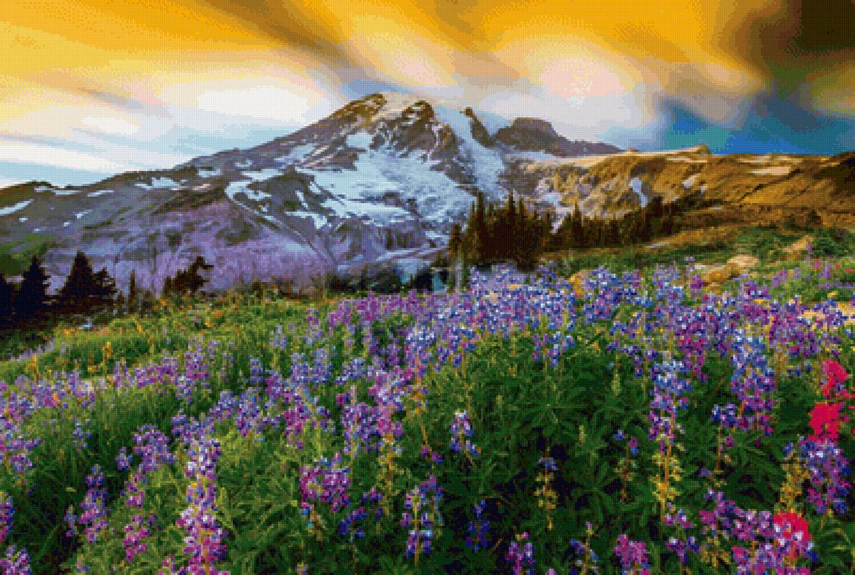 Гора Рейнир - пейзаж, рейнир, гора - предпросмотр