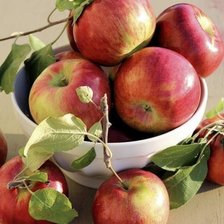 Схема вышивки «Яблоки»