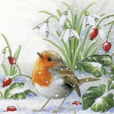 Схема вышивки «Птица 🐦»