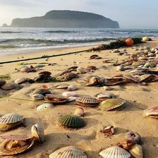 Схема вышивки «playa y ostras»