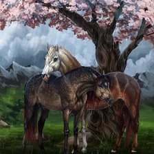 Схема вышивки «Prado»