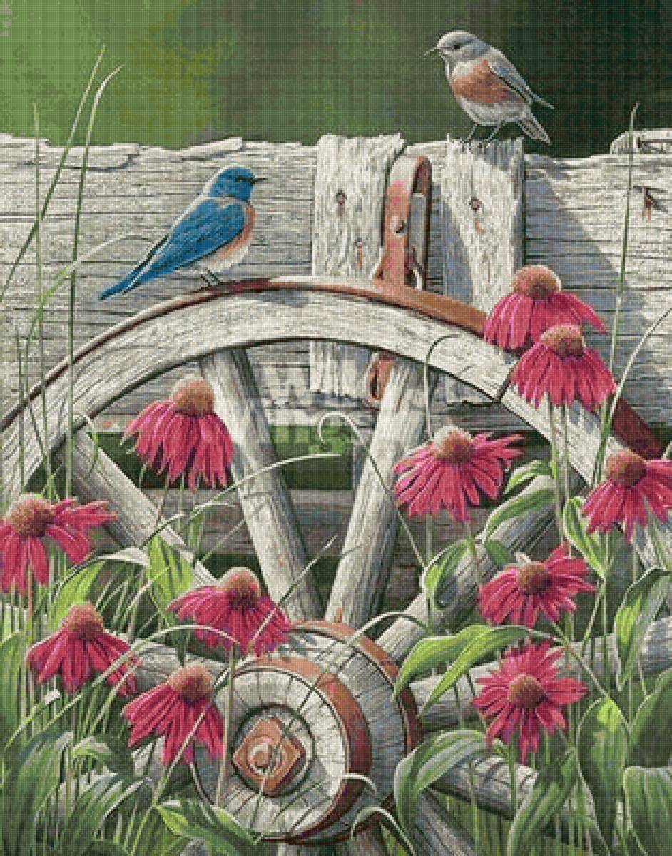 Charla - naturaleza - предпросмотр