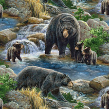 Схема вышивки «Osos Gris»