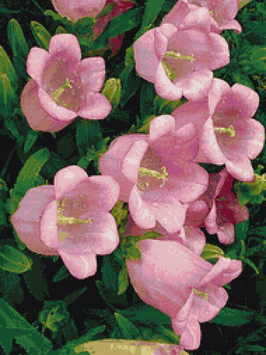 №2419007 - предпросмотр