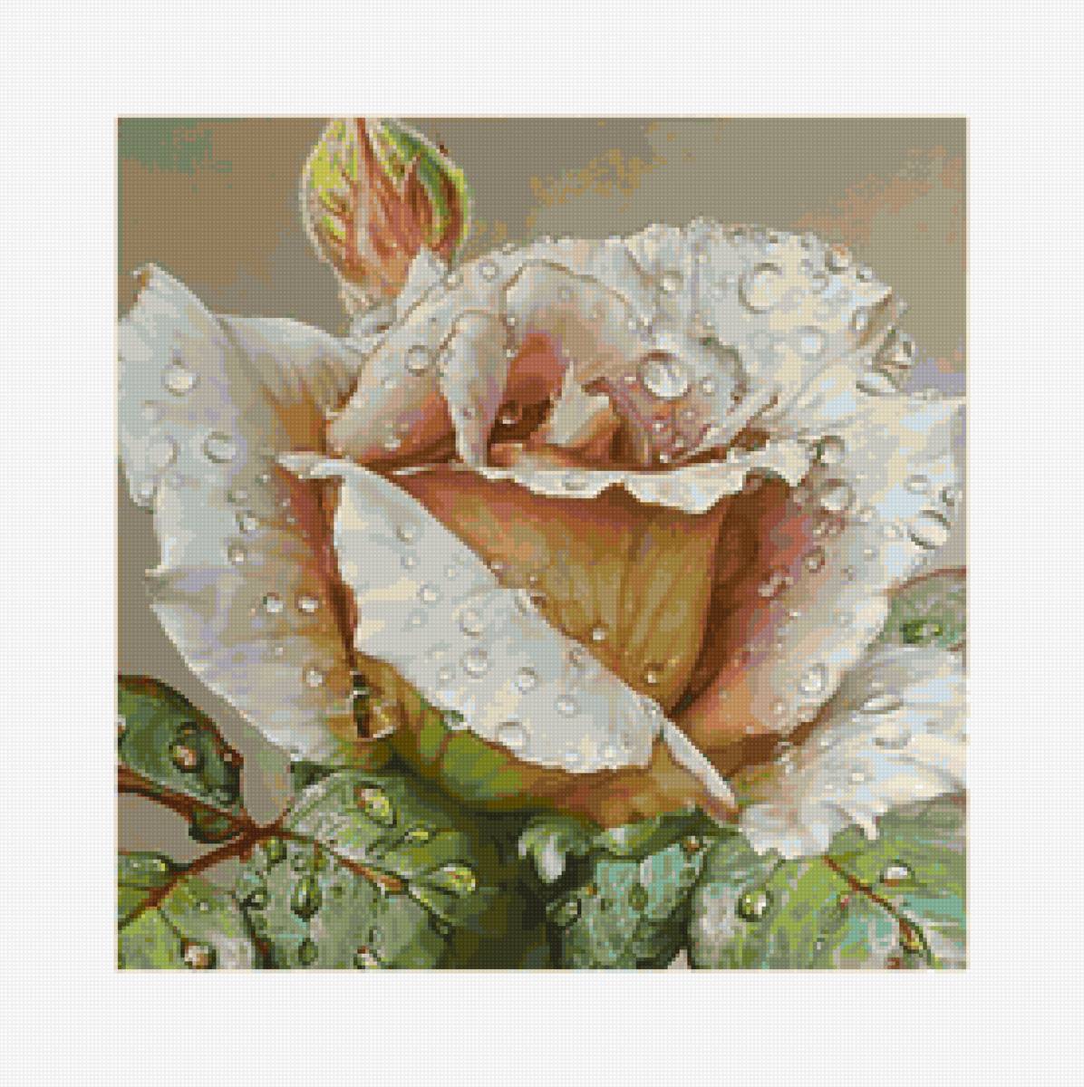 натюрморт - цветы, натюрморт, роза - предпросмотр