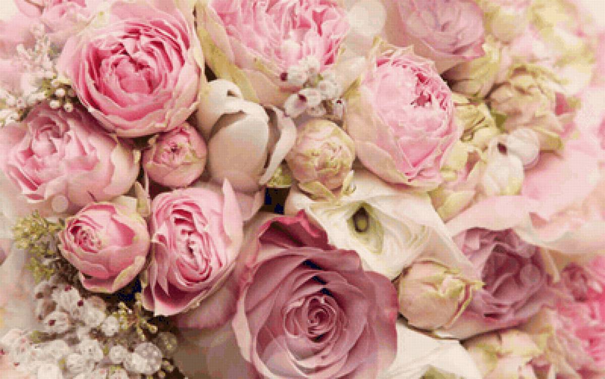 розы - подушка сплюшка - предпросмотр