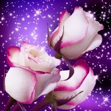 Схема вышивки «№2419213»