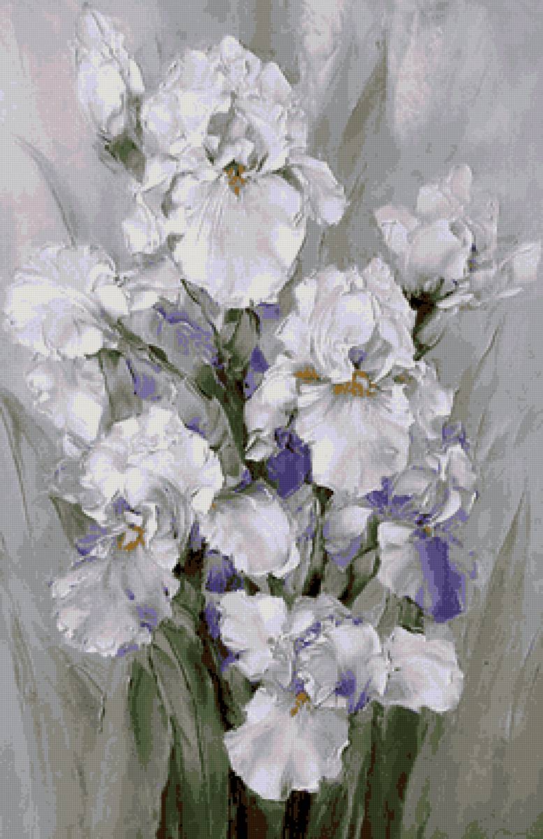 Ирисы - ирисы - предпросмотр