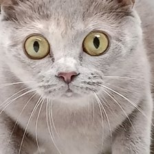 Схема вышивки «Ксюша»