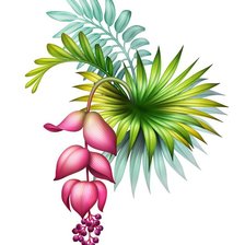 Схема вышивки «№2420255»