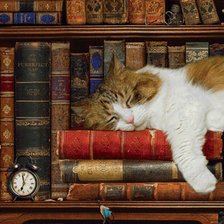 Схема вышивки «Начитался»