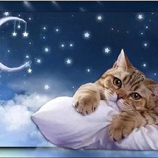 Схема вышивки «Gato.»