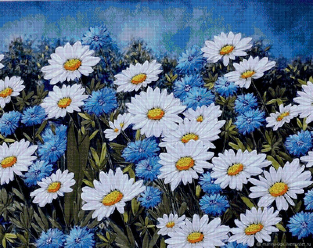 цветы - полевые цветы - предпросмотр