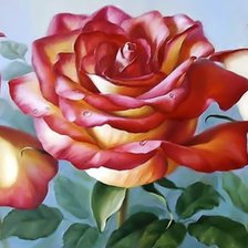 Схема вышивки «Розы»