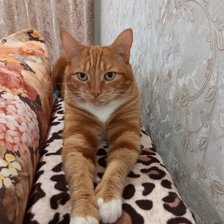 Схема вышивки «Сурфик»