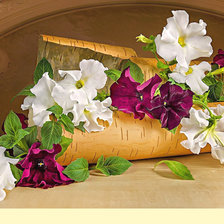 Схема вышивки «Серия "Натюрморт"»