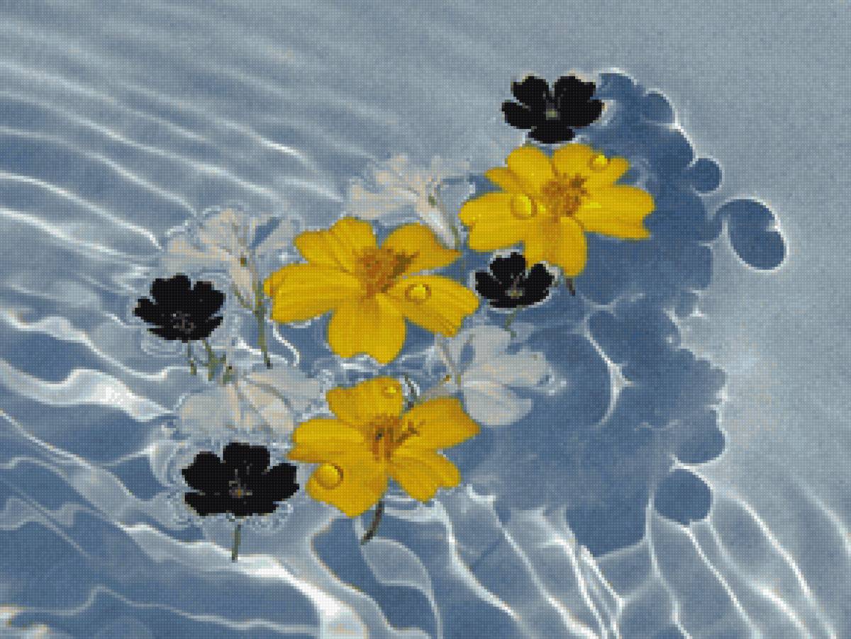 цветы в воде - вода, лето, цветы - предпросмотр