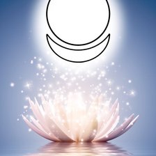 Схема вышивки «Лотос»