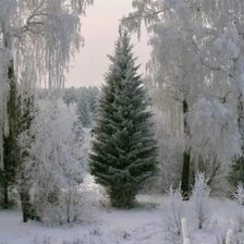 Схема вышивки «№2422325»