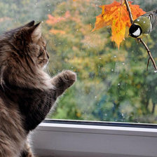 Схема вышивки «№2422799»