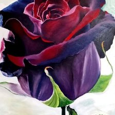 Схема вышивки «роза»