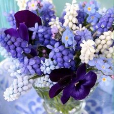 Схема вышивки «№2423094»