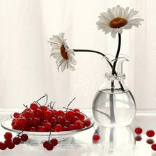 Схема вышивки «ромашки»