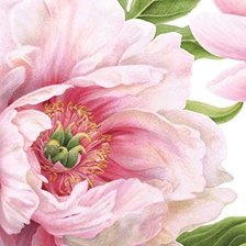 Схема вышивки «Розовый пион»