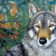 Схема вышивки «Волк»