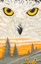 Схема вышивки «№2423571»