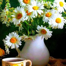 Схема вышивки «Ромашки»