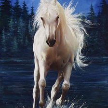 Схема вышивки «Libre»