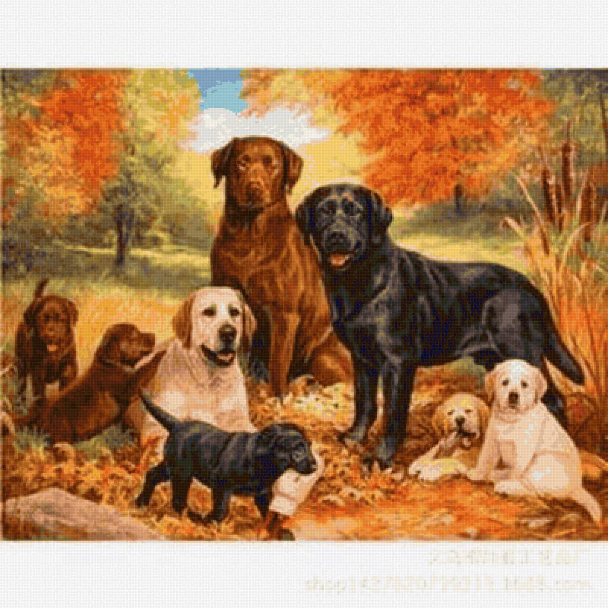 Familia - perros - предпросмотр