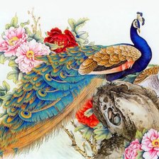 Схема вышивки «Павлины»