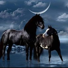 Схема вышивки «Кони»