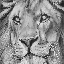 Схема вышивки «№2424037»