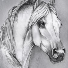 Схема вышивки «№2424043»