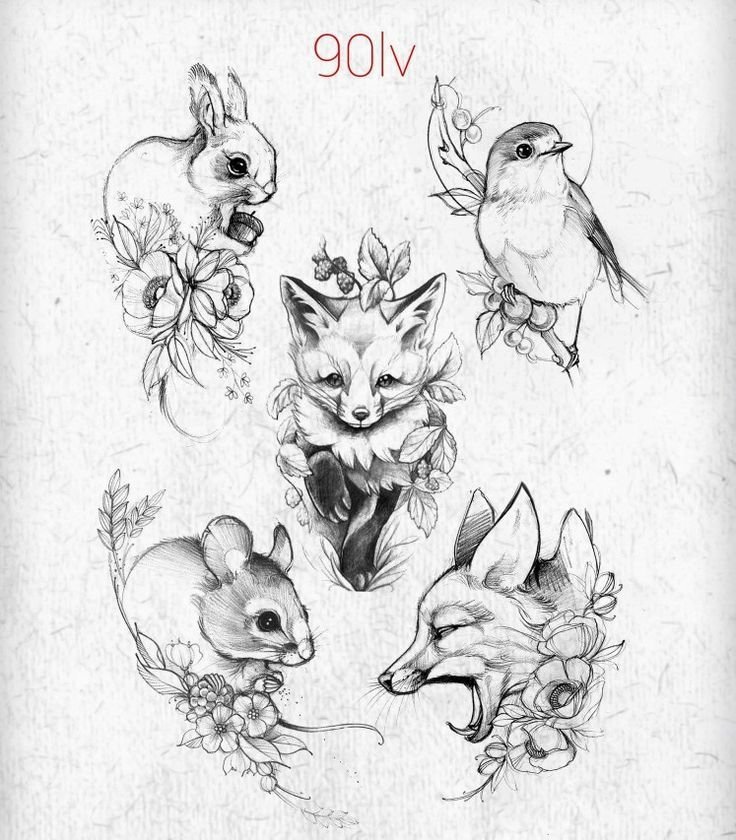 №2424055 - фауна, арт - оригинал