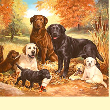 Схема вышивки «Серия "Собаки". Лабрадоры»