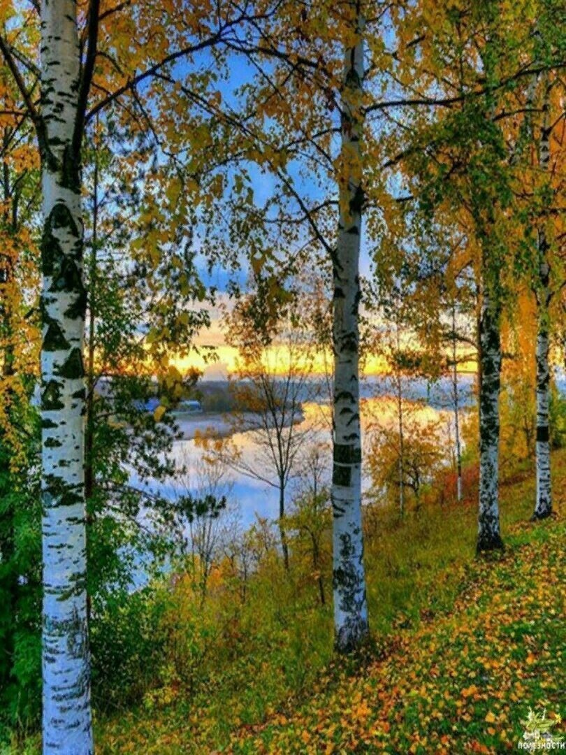 №2425050 - оригинал