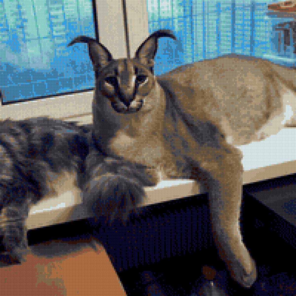 Шлепа 2 - предпросмотр