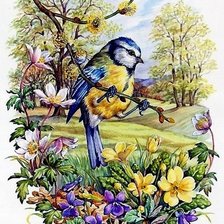 Схема вышивки «синичка»