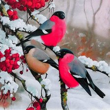 Схема вышивки «Снегири»