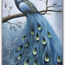 Схема вышивки «павлин»