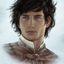 Схема вышивки «Дворянин»