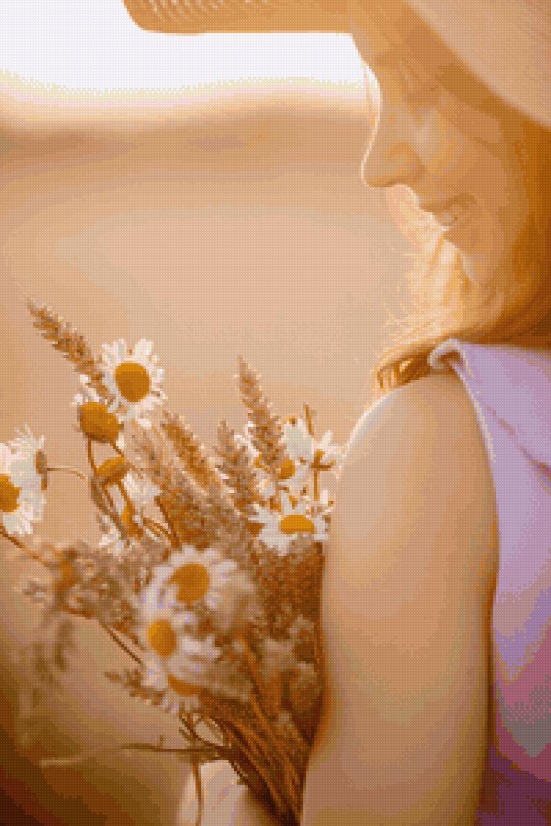 Закат - девушка, закат, ромашки - предпросмотр