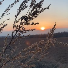 Схема вышивки «Закат»