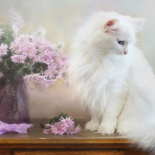 Схема вышивки «котик и цветы»